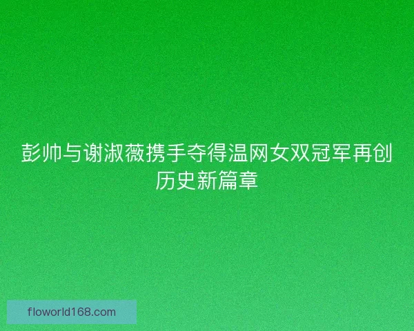 彭帅与谢淑薇携手夺得温网女双冠军再创历史新篇章