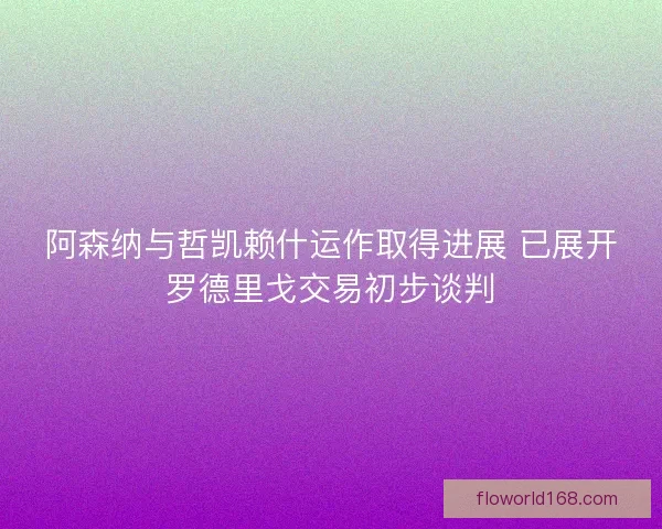 阿森纳与哲凯赖什运作取得进展 已展开罗德里戈交易初步谈判